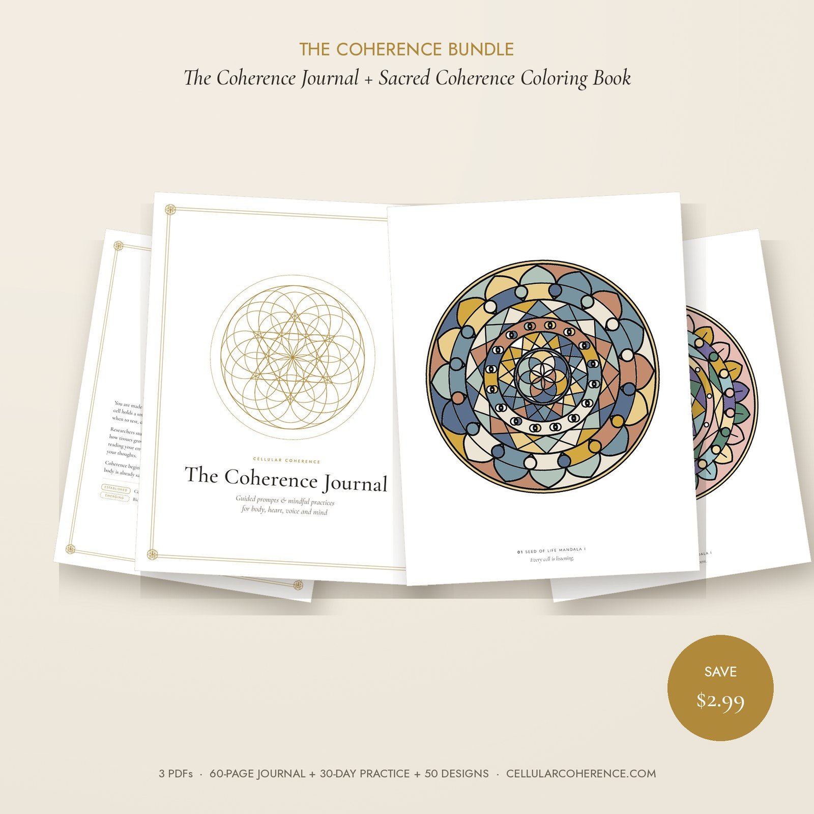 The Coherence Bundle
