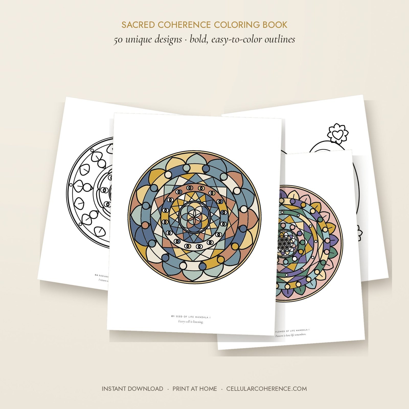 50-design coloring book