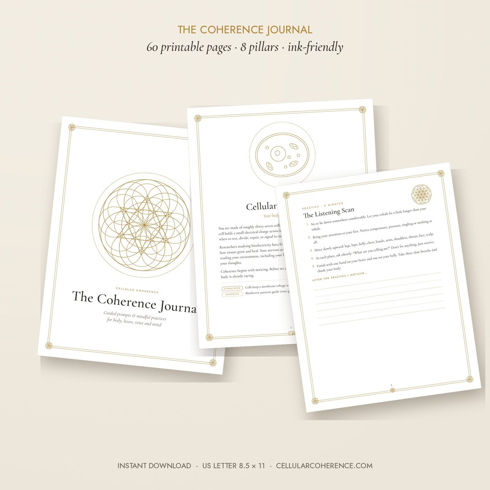 60-page guided journal